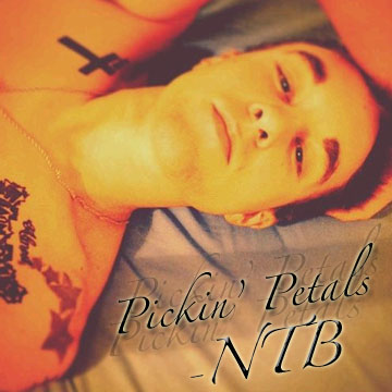 Pickin_Petals_Cover